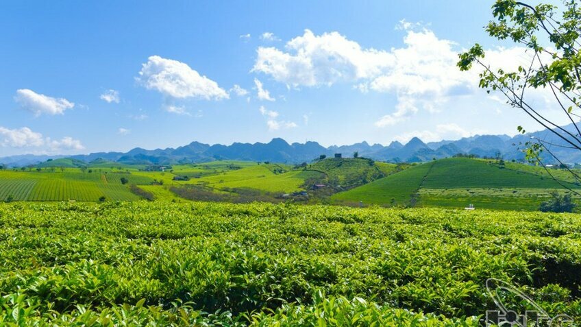 Tour tết Tây Bắc 2026: Mộc Châu - Sơn La - Điện Biên 5N4Đ