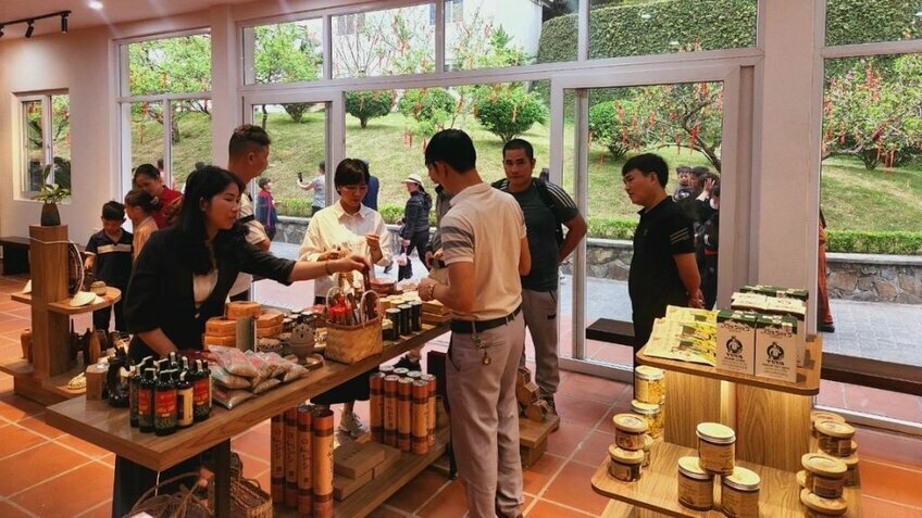 Tour Tết: Thiền viện Trúc Lâm An Tâm - Chùa Tây Thiên 1 ngày