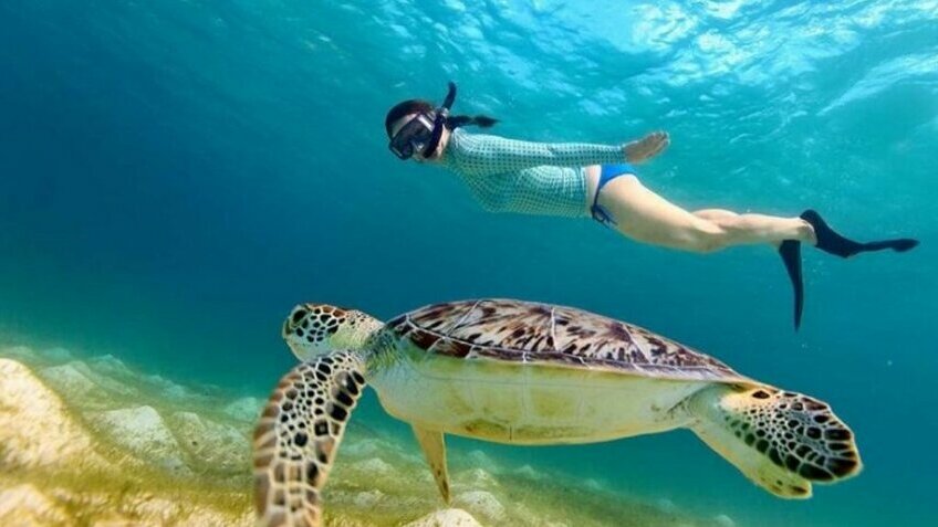 Tour Thái Lan Đặc Biệt No Shopping 4N3Đ: Koh Phi Phi - Lặn ngắm san hô - Phuket