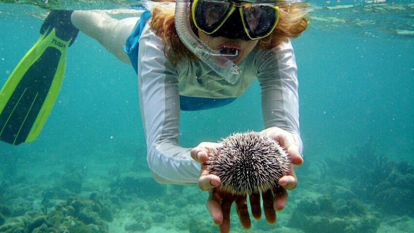 Tour Thái Lan Đặc Biệt No Shopping 4N3Đ: Koh Phi Phi - Lặn ngắm san hô - Phuket