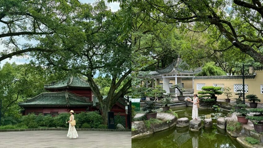 Tour Trùng Khánh 5N4Đ: Lý Tử Bá - Lạc Sơn - Nga Mi Sơn - Từ Khí Khẩu