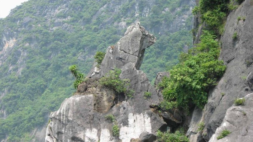 Tour Vịnh Hạ Long 1 Ngày | Du Thuyền Tuần Châu - Hang Sửng Sốt - Đảo Ti Tốp | Vietpower Travel