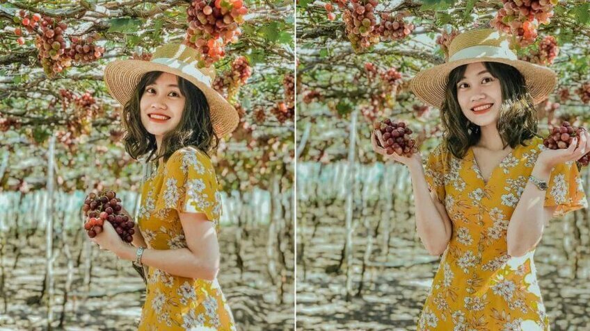 Tour Vĩnh Hy 1 ngày: Hang Rái - Đồng Cừu - Vườn Nho