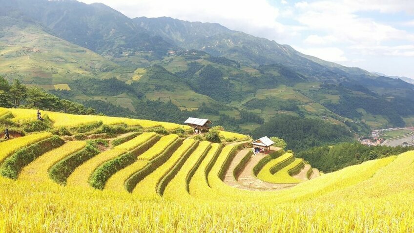 Tour Y Tý 2N1Đ: Trải nghiệm săn mây giữa núi non