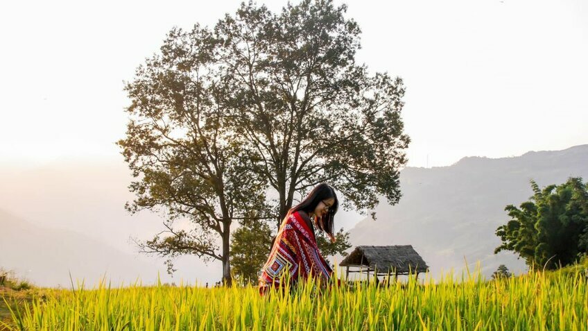 Tour Y Tý 2N1Đ: Trải nghiệm săn mây giữa núi non