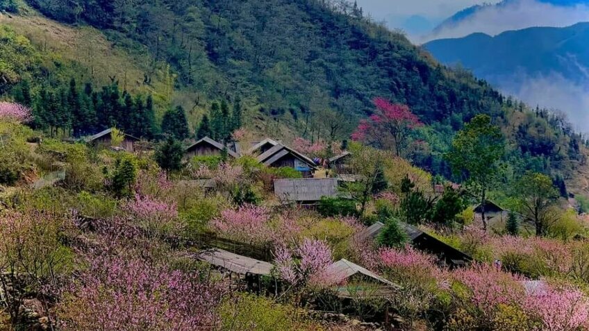 Tour Y Tý 2N1Đ: Trải nghiệm săn mây giữa núi non