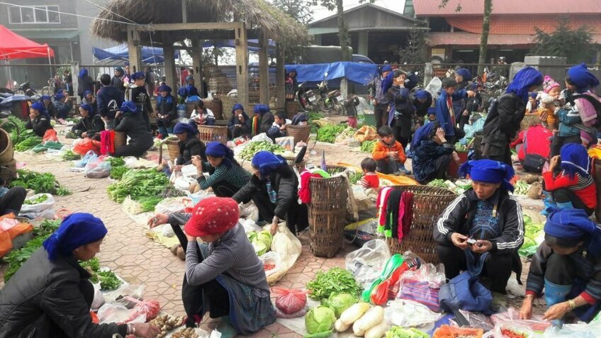 Tour Y Tý 2N1Đ: Trải nghiệm săn mây giữa núi non