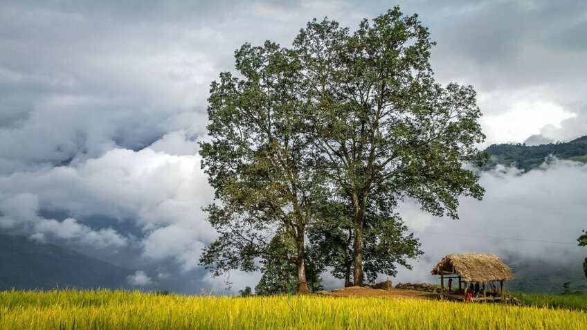 Tour Y Tý - Lào Cai: Khám phá thiên đường săn mây bình dị và mộc mạc