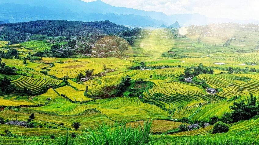 Tour Y Tý - Lào Cai: Khám phá thiên đường săn mây bình dị và mộc mạc