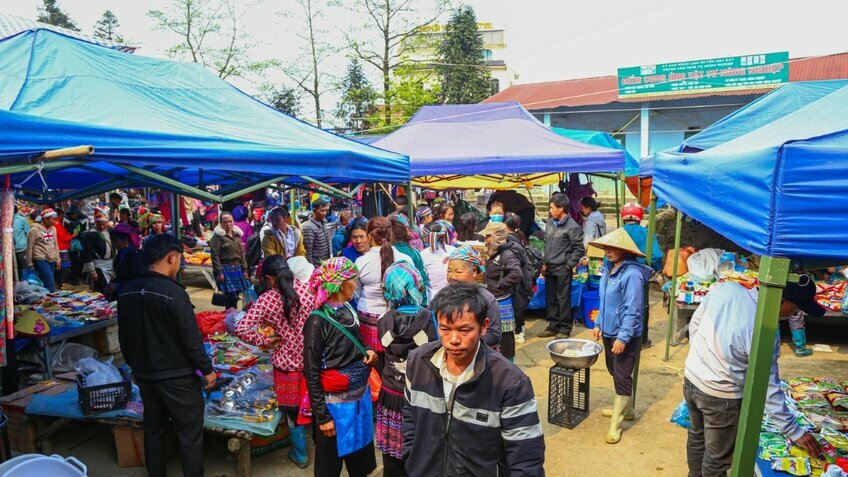 Tour Y Tý - Lào Cai: Khám phá thiên đường săn mây bình dị và mộc mạc