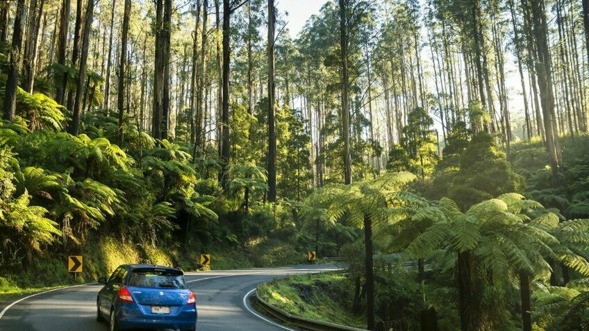 Trải Nghiệm Tour Melbourne 4N3Đ – Chinh Phục Great Ocean Road