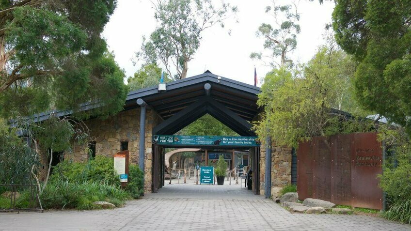 Trải Nghiệm Tour Melbourne 4N3Đ – Chinh Phục Great Ocean Road