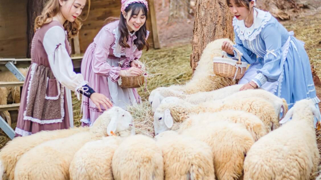 Combo 3N2Đ Dalat Wonder Resort 4* + vui chơi Wonderland không giới hạn