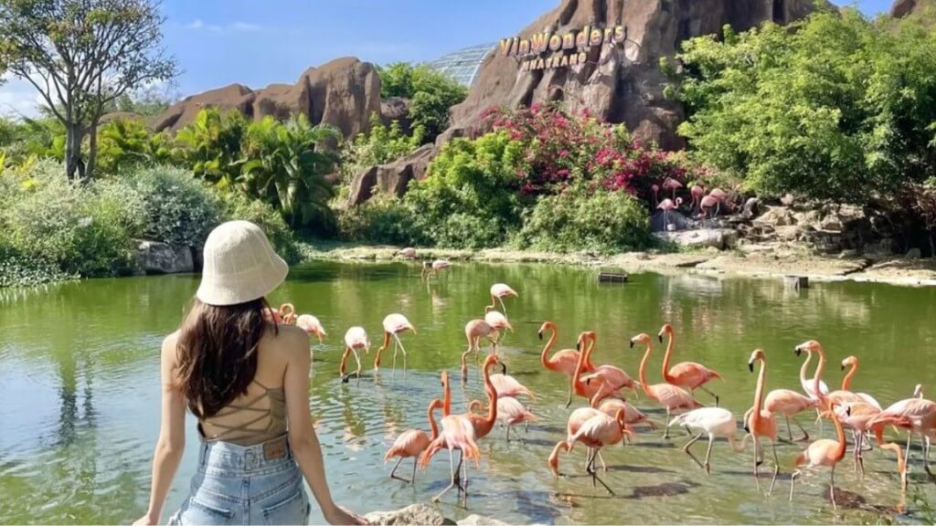 Combo Hà Nội - Nha Trang 4N3Đ: Khách sạn 4* + Vé máy bay khứ hồi Bamboo airways