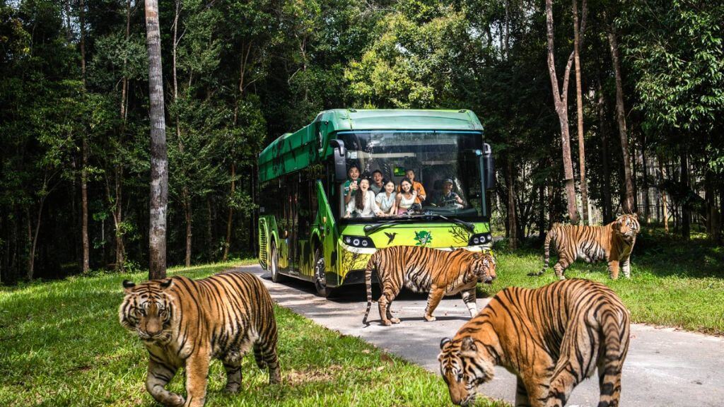 Combo nghỉ dưỡng Phú Quốc 4N3Đ: VinHolidays Fiesta Phu Quoc 5* + Vé máy bay Sun Phú Quốc Airways| Từ Hà Nội
