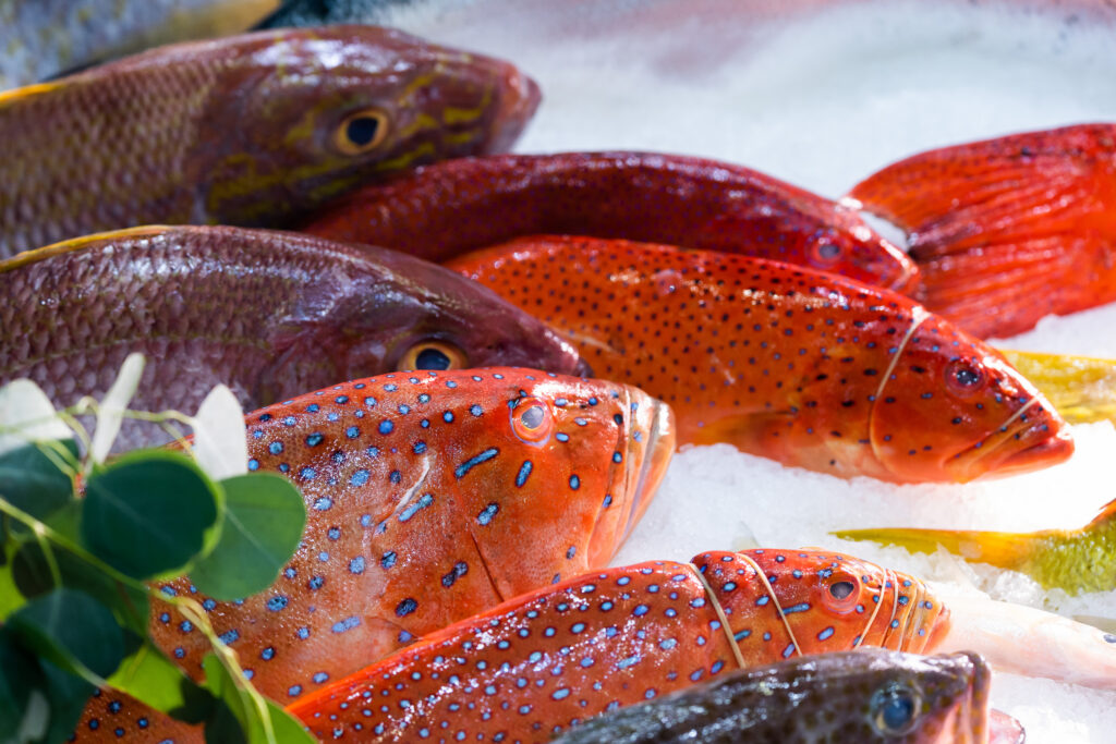 Tour Seafood Expo Asia Singapore – Hội chợ thủy sản