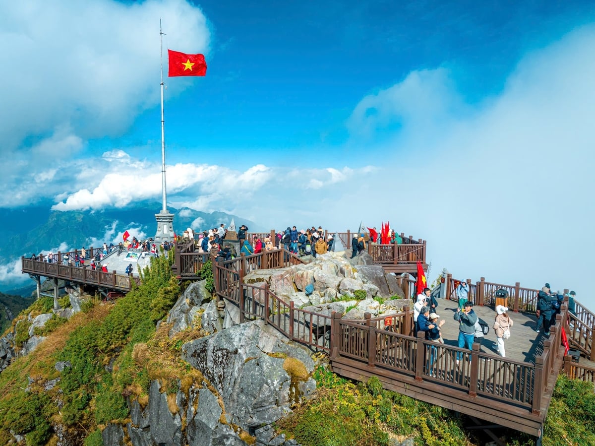 Sapa