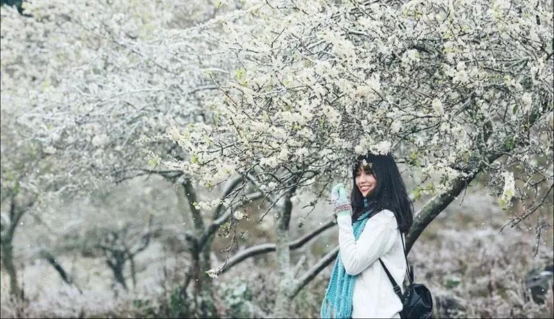 Tour Mộc Châu: Check in Thác Dải Yếm - Happy Land - Mocha Hill 4N3Đ