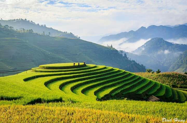 Tour Tết 2026 Mộc Châu 3N3Đ: Đón xuân trên vùng cao nguyên