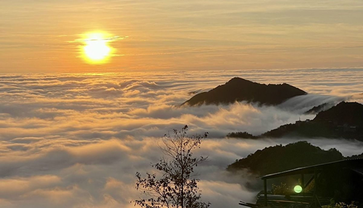 Tour Tà Xùa 4N3Đ: Săn mây chốn bồng lai (Từ Hồ Chí Minh)