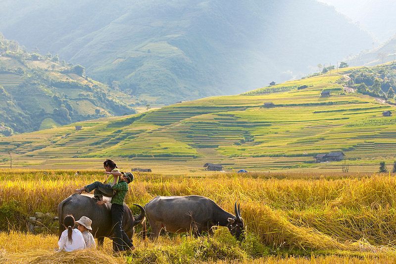 Tour Đông Tây Bắc 4N4Đ: Hoàng Su Phì - Chiêu Lầu Thi - Cốc Pài - Bắc Hà