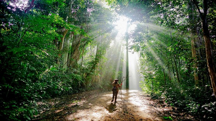 Lạc bước rừng Cát Tiên: Trekking Bàu Sấu 2N1Đ (Từ Hồ Chí Minh)