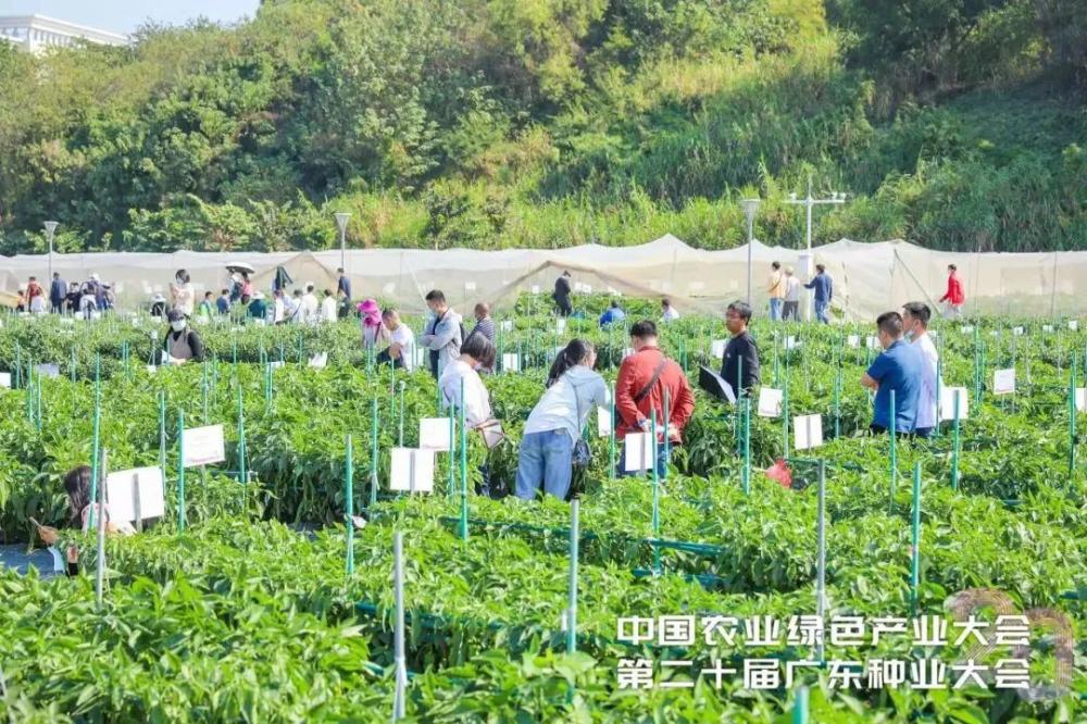 Triển Lãm Công Nghiệp Hạt Giống Và Sản Xuất Nông Nghiệp Quảng Đông