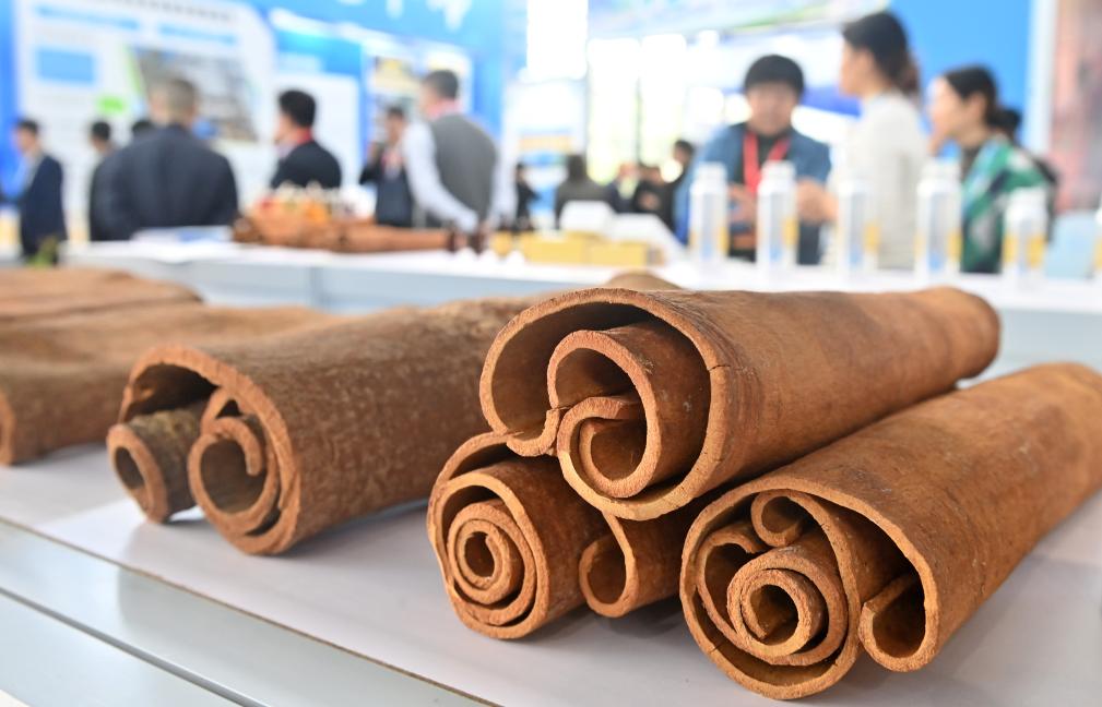 Tour hội chợ lâm sản và sản phẩm gỗ Nam Ninh | WWEXPO